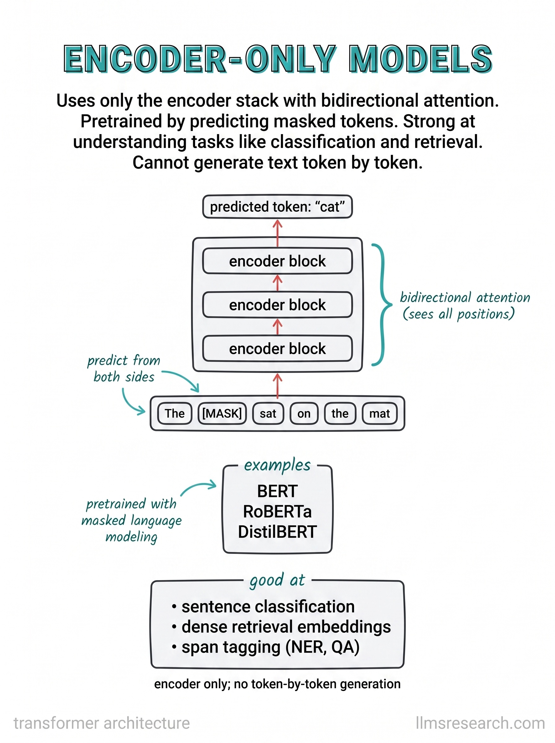 Uses only the encoder stack with bidirectional attention, pretrained by predicting masked tokens. Strong at understanding tasks like classification and retrieval, but it cannot generate text token by token.