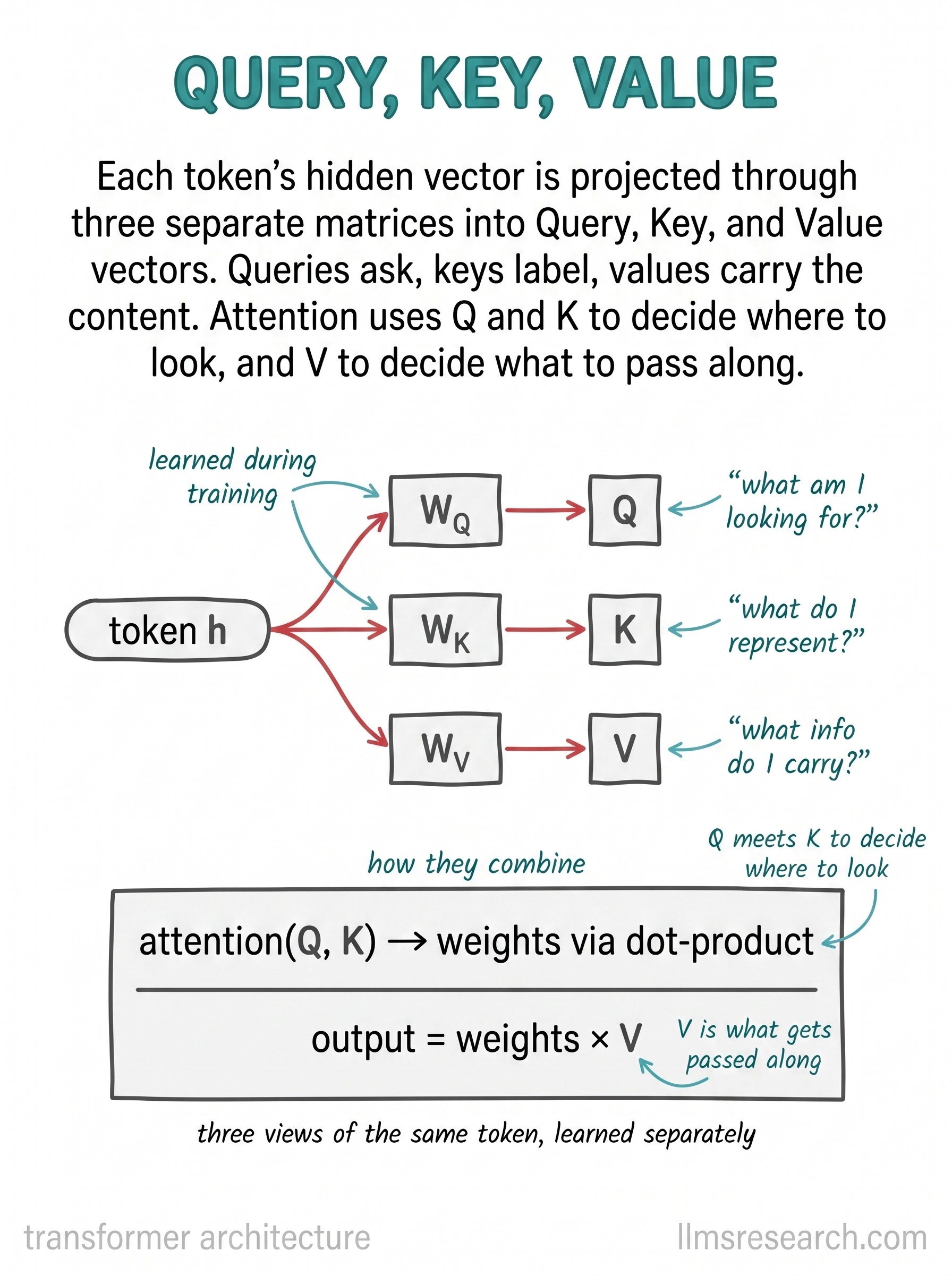 Each token's vector is projected through three learned matrices into a query, a key, and a value. Queries and keys decide where to look; values decide what gets passed along.