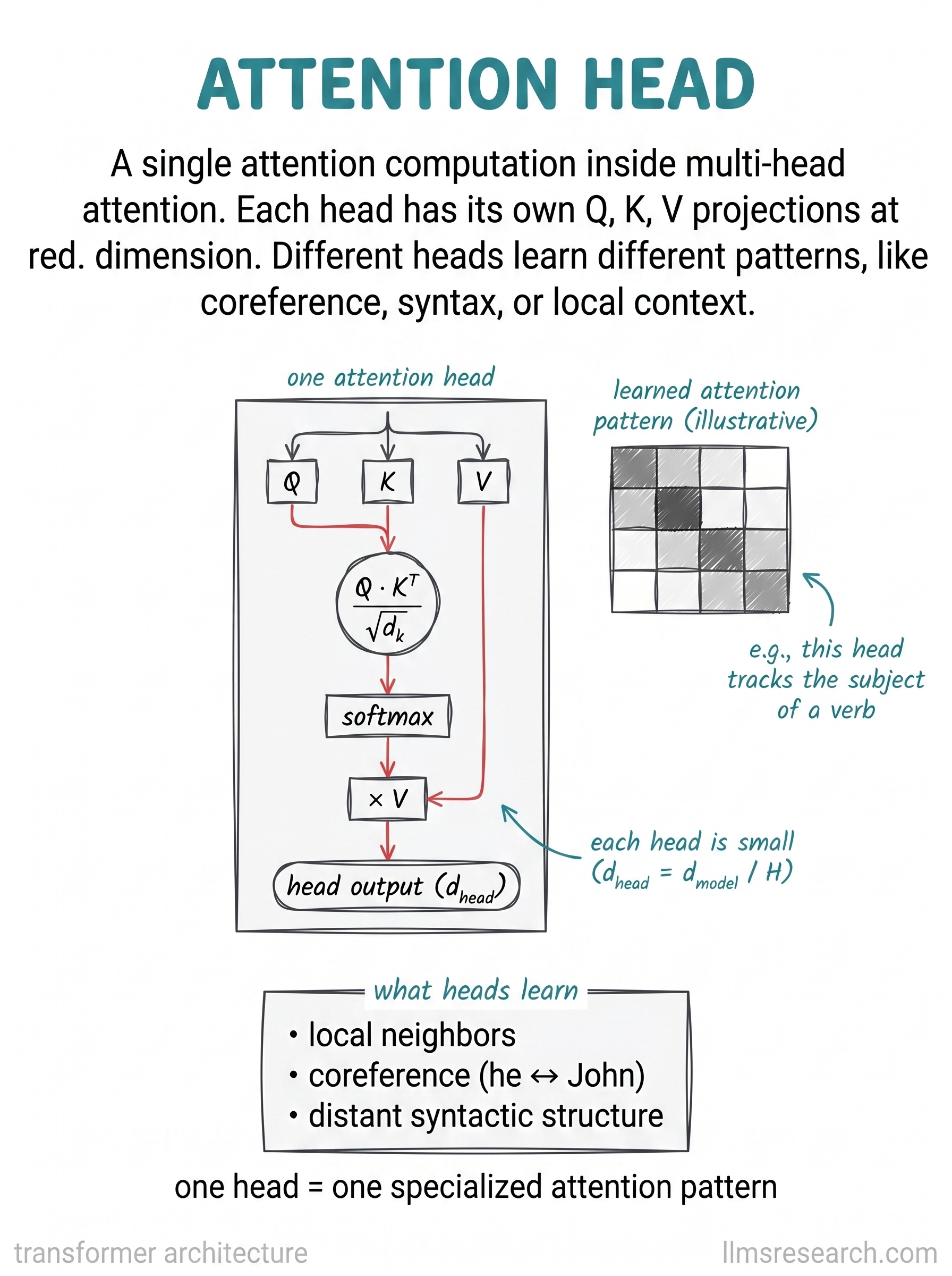 A single attention computation inside multi-head attention, working at the reduced head dimension. Different heads learn different patterns, such as coreference, syntax, or local context.