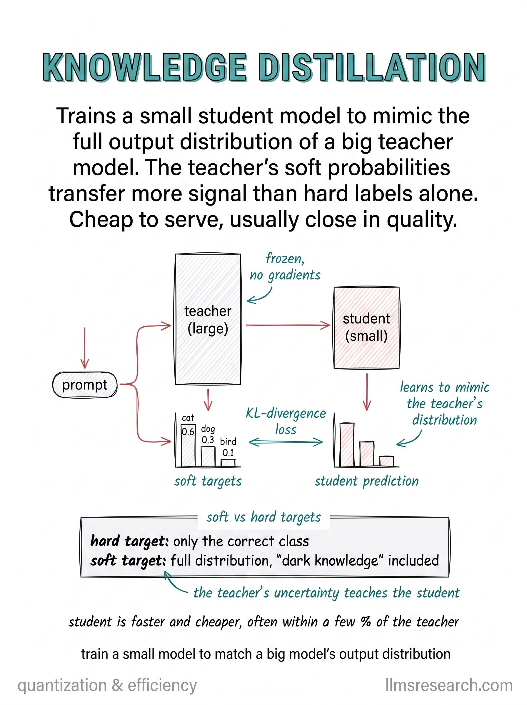 Trains a small student model to mimic the full output distribution of a large teacher model. Soft probabilities transfer more signal than hard labels alone.