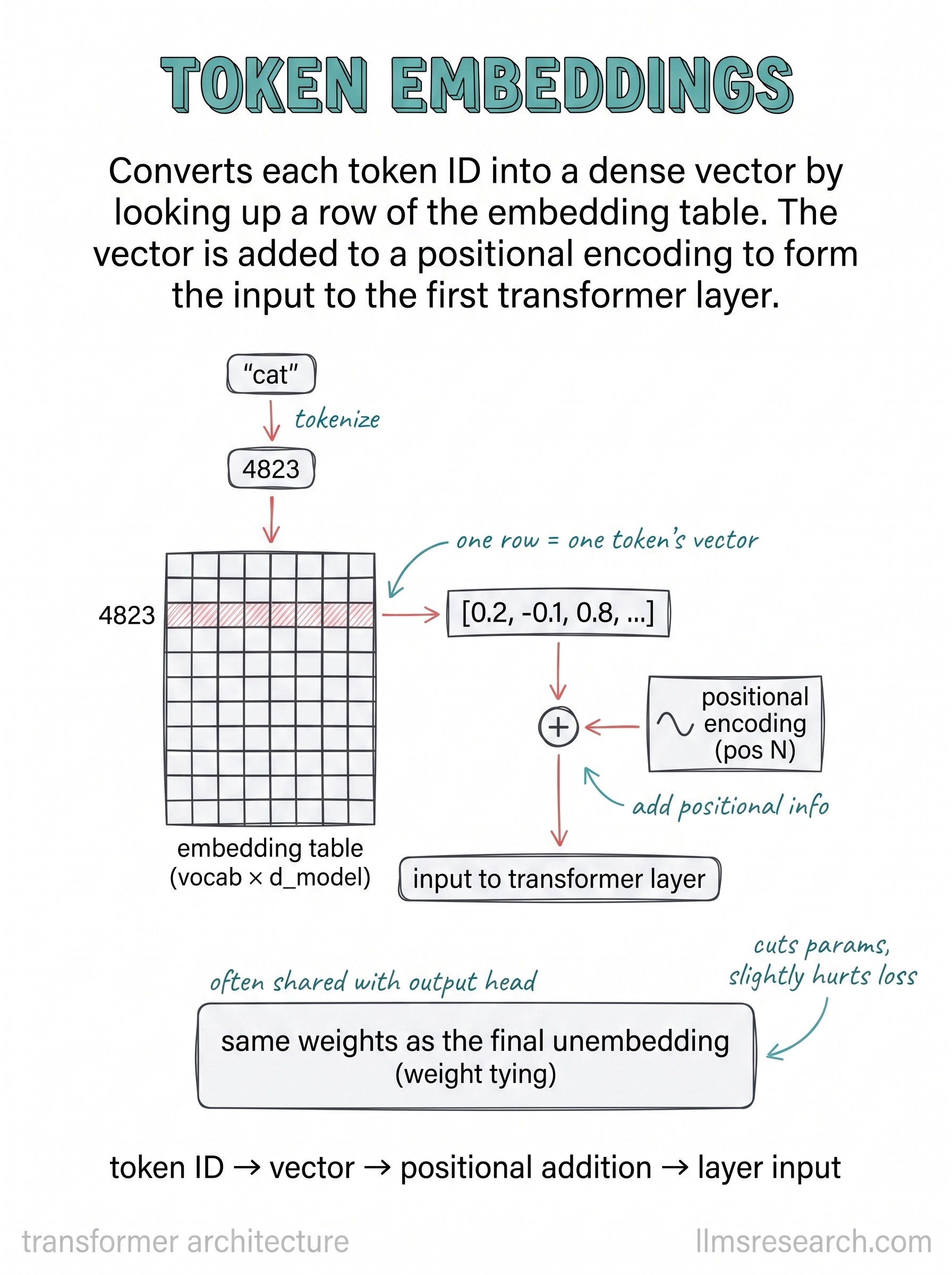 The first layer of a transformer. It looks up a vector for each token ID and adds a positional encoding to form the input the rest of the model reads.