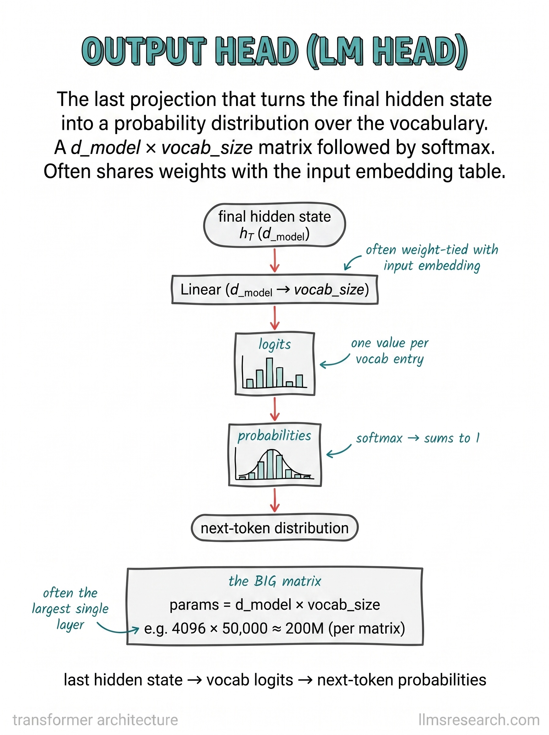 The final projection that turns the last hidden state into a probability distribution over the vocabulary. It is a d_model by vocab_size matrix followed by softmax, and it often shares weights with the input embedding table.