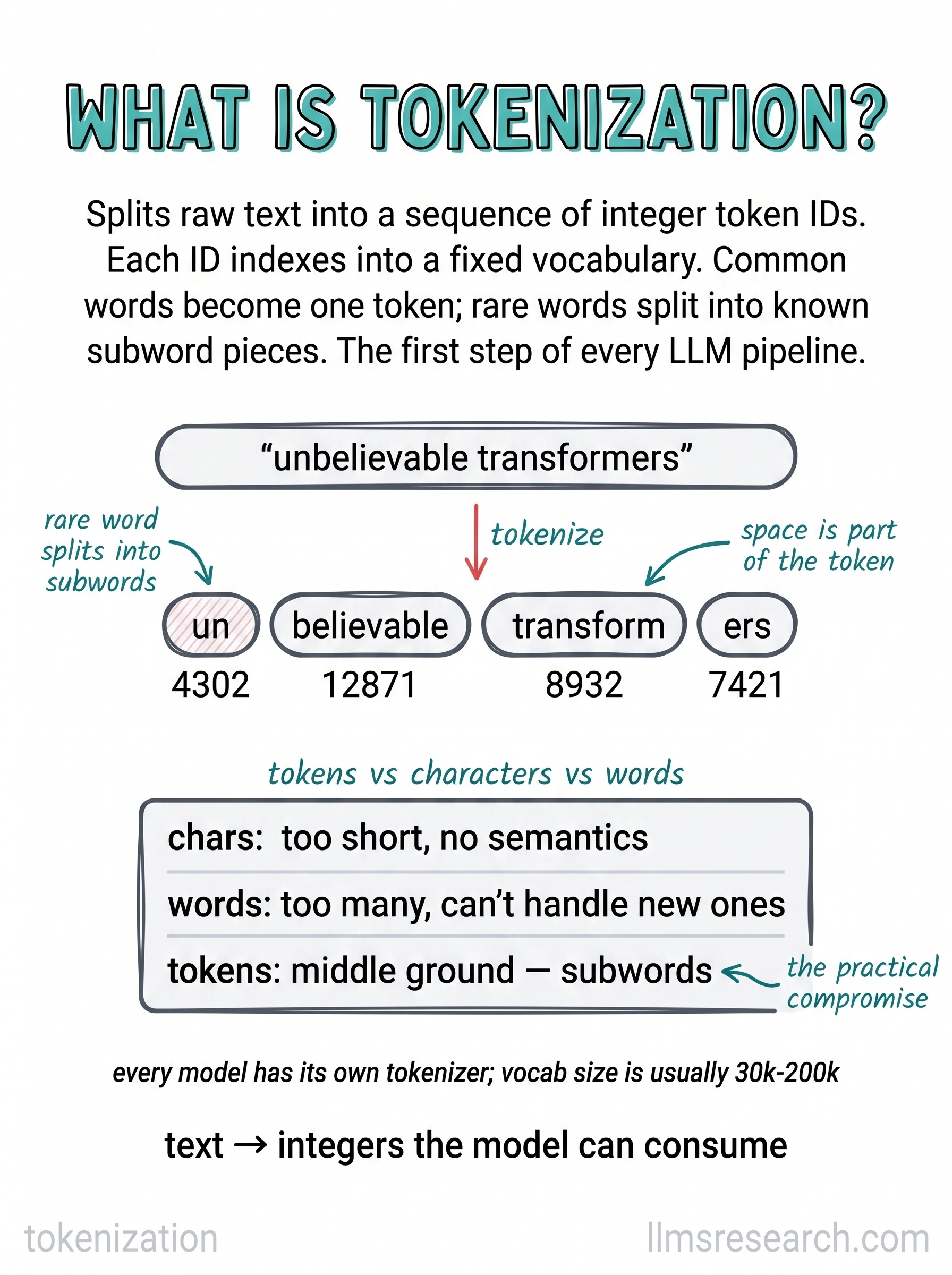 Tokenization splits raw text into integer IDs from a fixed vocabulary. Common words map to a single token, rare words break into subword pieces.