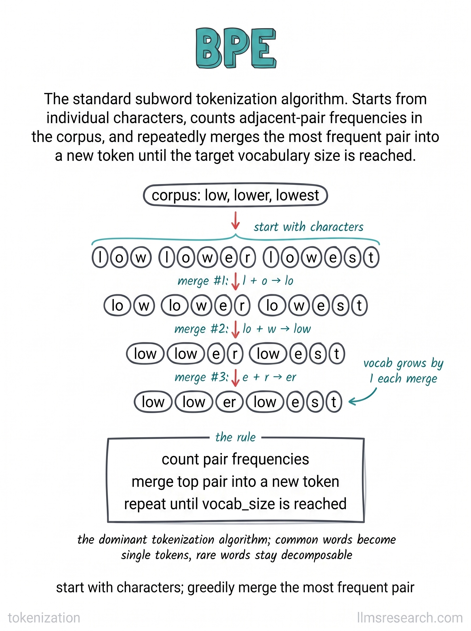 The standard algorithm for building a subword vocabulary. It starts from characters and repeatedly merges the most frequent adjacent pair into a new token.