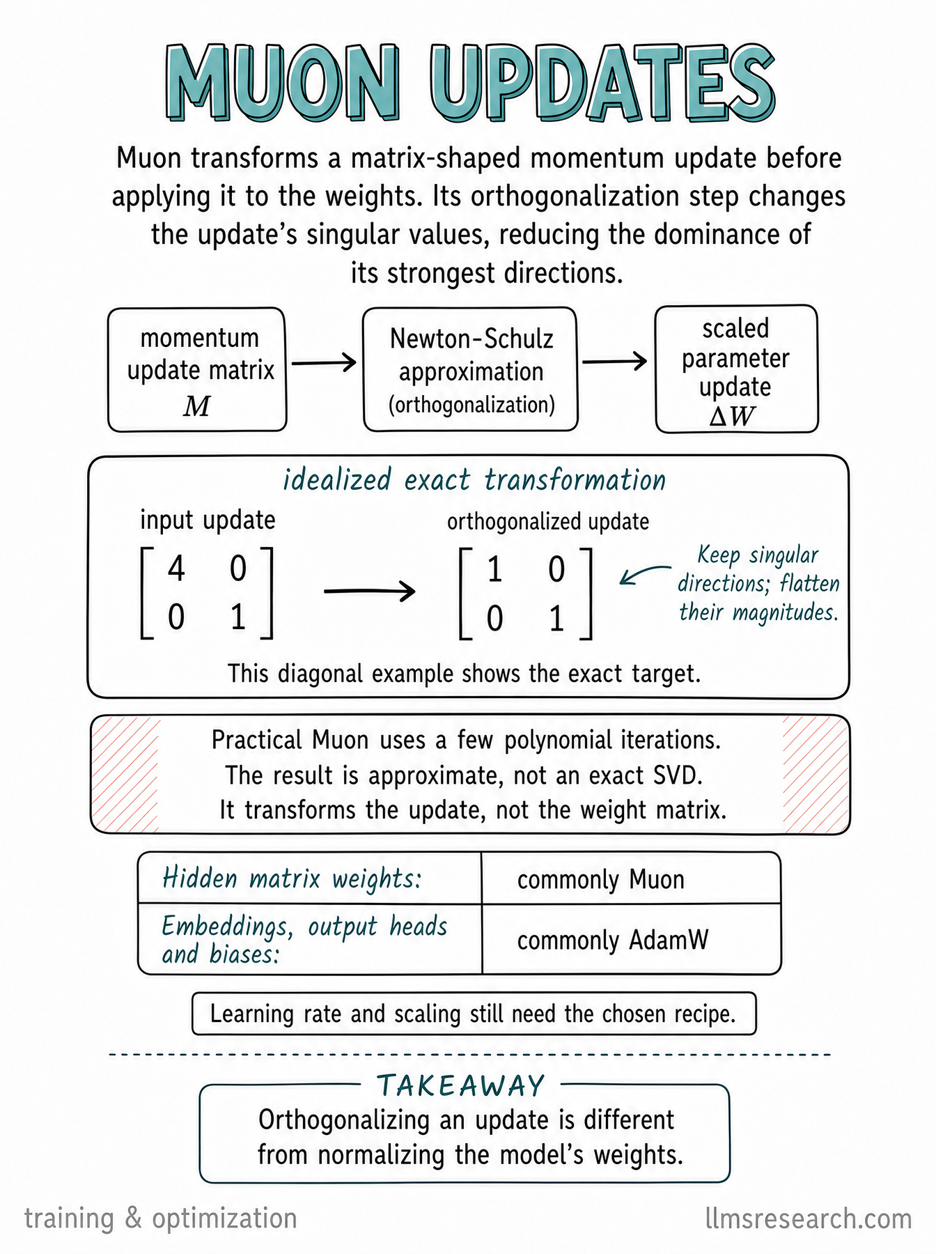 Understand Muon through a matrix example: orthogonalizing a momentum update, approximate Newton-Schulz iterations, and which parameters need other updates.