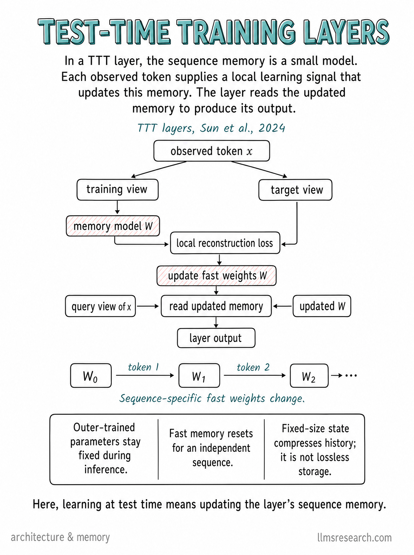 Explore the TTT-layer architecture from Sun et al.: fast weights updated from the current sequence, distinct from fixed outer model parameters.