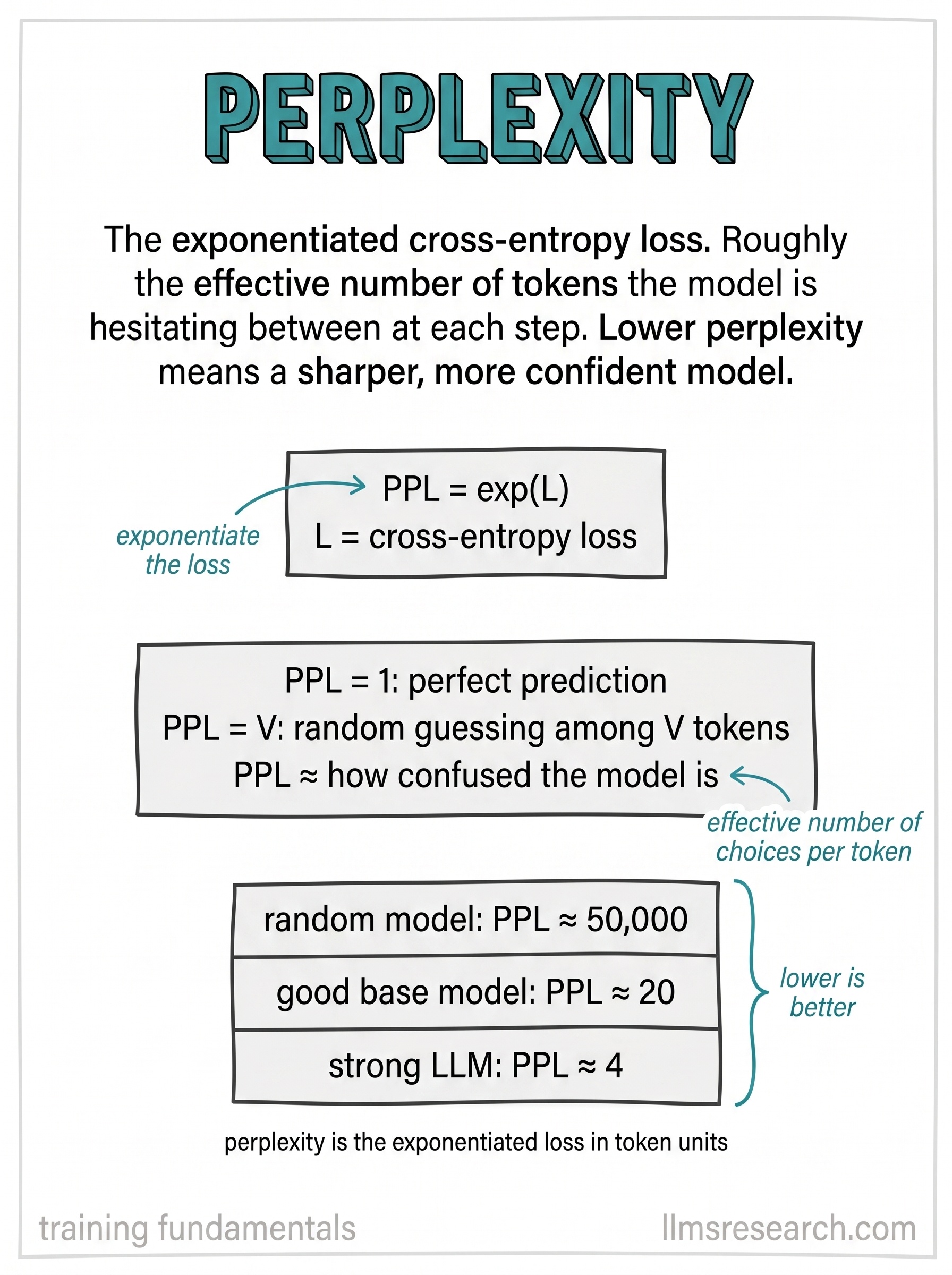 Cross-entropy loss exponentiated back into token units: roughly how many choices the model is effectively torn between at each step.