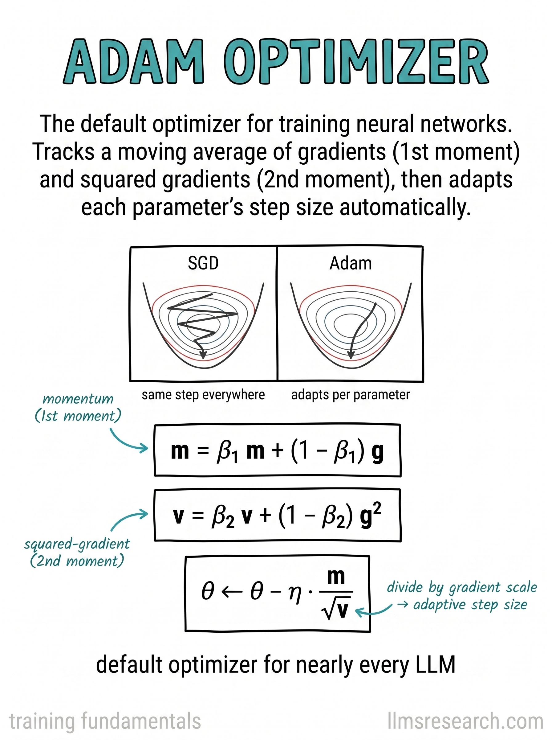 The default optimizer for language models: it tracks running averages of the gradient and the squared gradient, then adapts each parameter's step size.