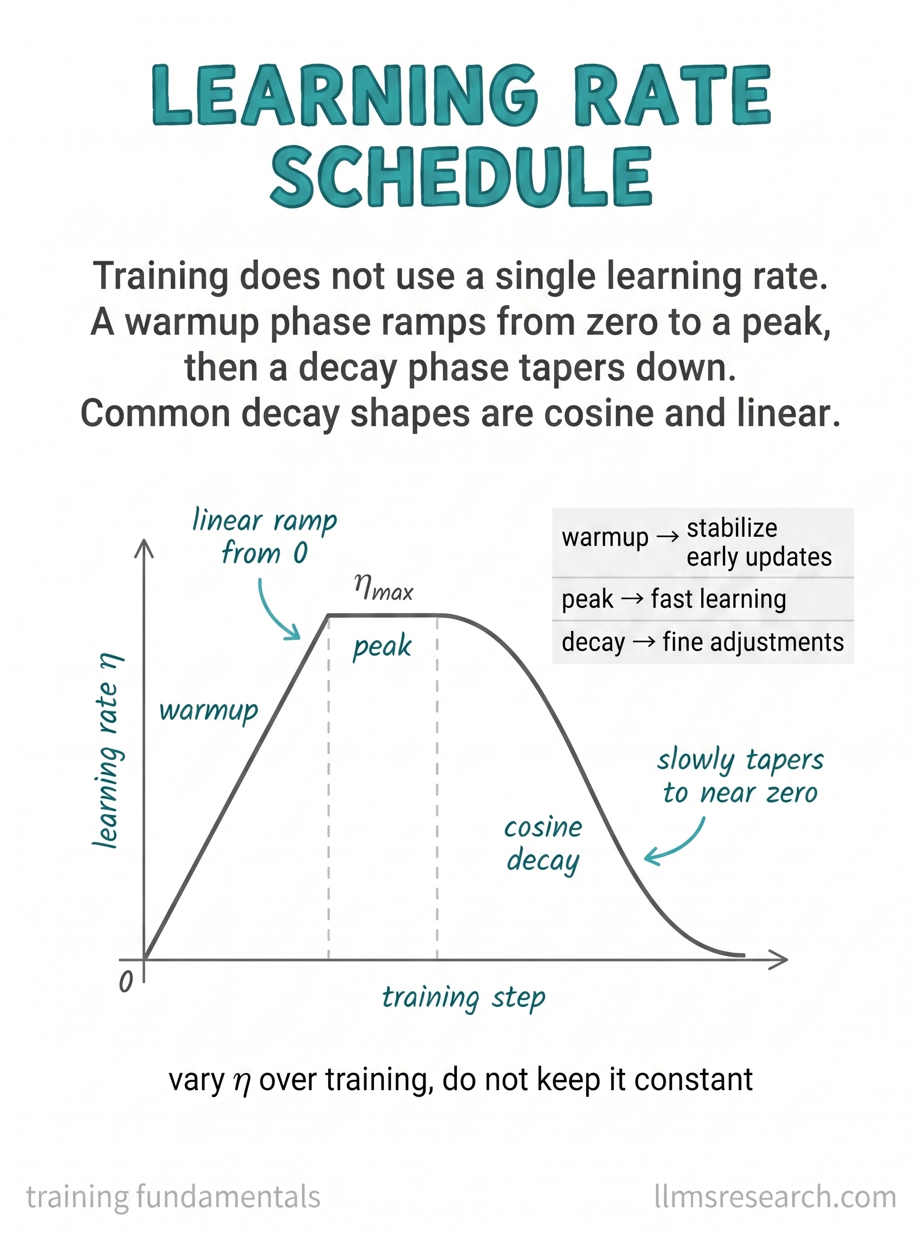 The learning rate is not held constant. It warms up from zero to a peak, holds, then decays, usually on a cosine curve.